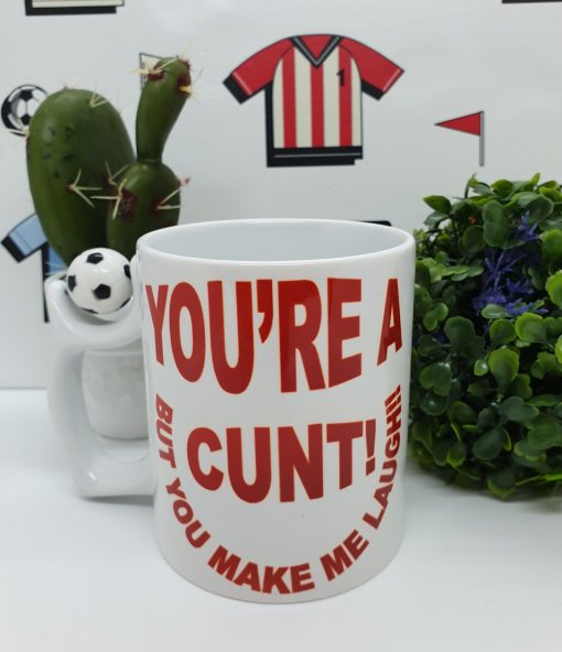 “You’re a cunt, but you make me laugh” Funny Printed Mug