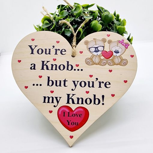 You're a knob but you're my knob wood plaque