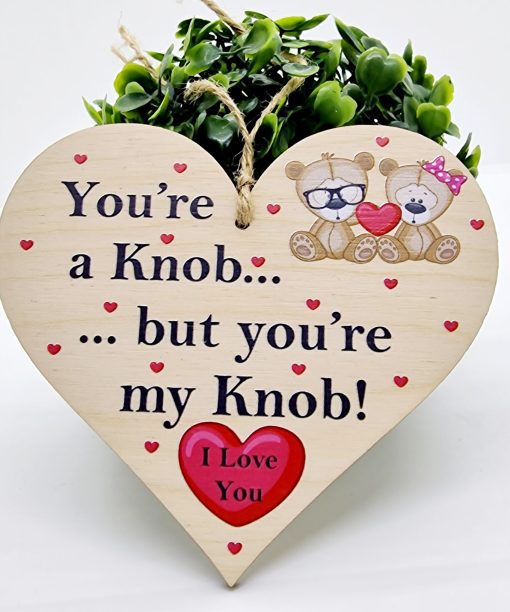 You're a knob but you're my knob wood plaque