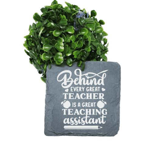 behind every great teacher is a great teaching assistant