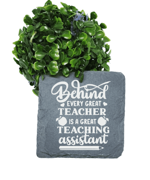 behind every great teacher is a great teaching assistant