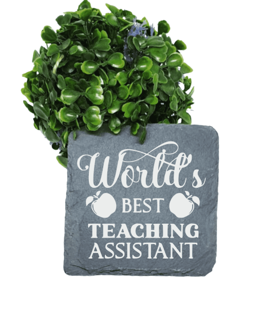 3 Reasons to Buy World's Best Teaching Assistant Slate Coaster